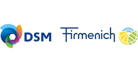 dsm-firmenich